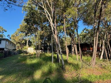 Residential Block For Sale - QLD - Macleay Island - 4184 - Semi Cleared on the High side of the Street  (Image 2)