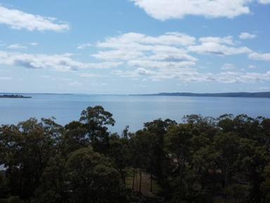 Residential Block For Sale - QLD - Macleay Island - 4184 - Tranquil Spot On Perulpa. Close To Water  (Image 2)