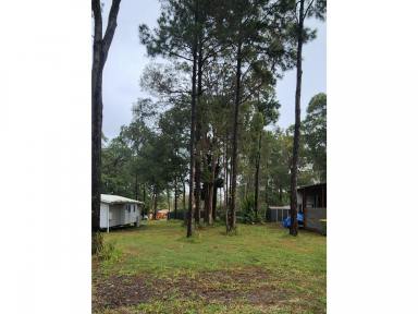 Residential Block For Sale - QLD - Macleay Island - 4184 - Desirable Sized Block In a Great Location  (Image 2)
