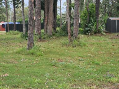 Residential Block For Sale - QLD - Macleay Island - 4184 - Desirable Sized Block In a Great Location  (Image 2)
