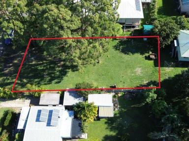 Residential Block For Sale - QLD - Macleay Island - 4184 - Peaceful, Elevated Block on the Eastern Side  (Image 2)