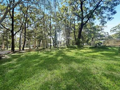 Residential Block For Sale - QLD - Macleay Island - 4184 - Unique Opportunity: Three Titles, One Spectacular Offering on Macleay Island  (Image 2)