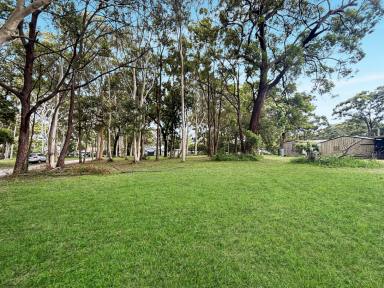 Residential Block For Sale - QLD - Macleay Island - 4184 - Unique Opportunity: Three Titles, One Spectacular Offering on Macleay Island  (Image 2)