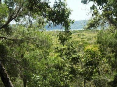 Residential Block For Sale - QLD - Macleay Island - 4184 - Waterfront Part Acreage, 2 Lots, totalling 2,353 m2, East Side of Macleay  (Image 2)