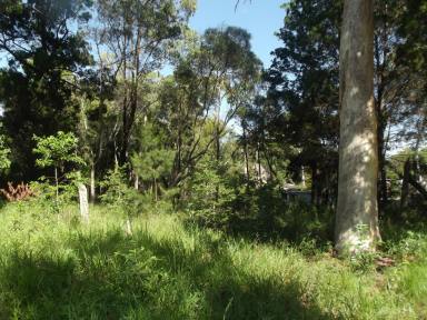 Residential Block For Sale - QLD - Macleay Island - 4184 - Great Location  (Image 2)