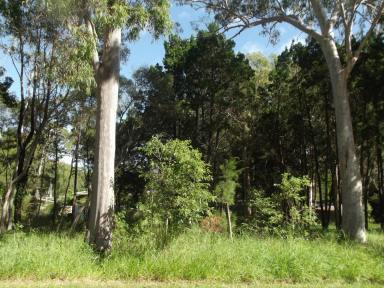 Residential Block For Sale - QLD - Macleay Island - 4184 - Great Location  (Image 2)
