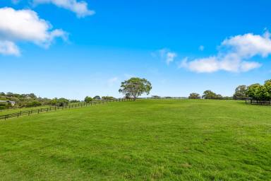 Residential Block For Sale - QLD - Draper - 4520 - Only 9 Spectacular Lots Remaining - Build Your Dream in Tranquil Paradise!  (Image 2)