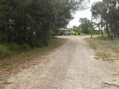 Residential Block For Sale - QLD - Macleay Island - 4184 - Bush setting  (Image 2)