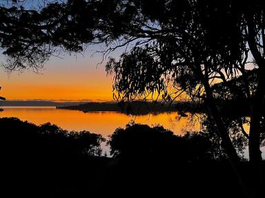 House For Sale - QLD - Macleay Island - 4184 - Absolute Waterfront - Sea Myth Cottage  (Image 2)