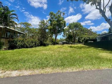 Residential Block Sold - QLD - Macleay Island - 4184 - Flat, Cleared, and Centrally Located!  (Image 2)