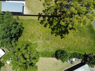 Residential Block Sold - QLD - Macleay Island - 4184 - Flat, Cleared, and Centrally Located!  (Image 2)