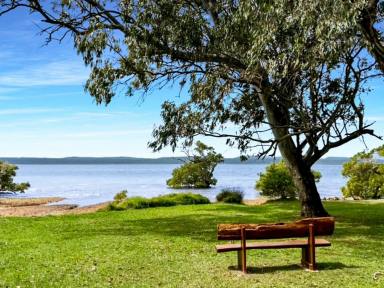 Residential Block For Sale - QLD - Macleay Island - 4184 - Elevated Position - Walk to the Water  (Image 2)