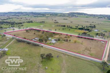 Lifestyle For Sale - NSW - Glen Innes - 2370 - Spacious Country Living on 24 Acres – Lifestyle and Opportunity Combined  (Image 2)