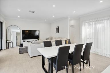 House For Sale - WA - Joondanna - 6060 - Modern Elegance Meets Location Excellence  (Image 2)