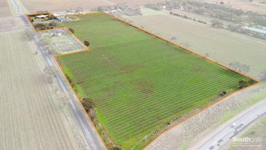 Other (Rural) For Sale - SA - Tatachilla - 5171 - Jewel of McLaren Vale Wine Region  (Image 2)