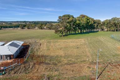 Residential Block For Sale - NSW - Crookwell - 2583 - "Large 1426m2 parcel of residential land"

PRICE ADJUSTMENT $285,000  (Image 2)