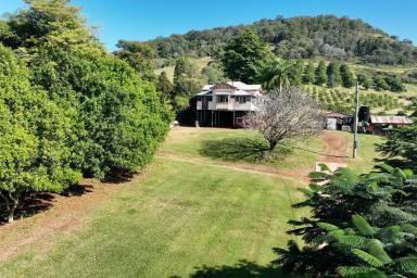 Acreage/Semi-rural For Sale - QLD - Dagun - 4570 - Mary Valley Magic: Lifestyle, Income, Views!  (Image 2)