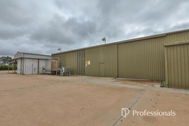 Other (Rural) For Sale - VIC - Colignan - 3494 - Impressive Shedding Minutes from the Murray River  (Image 2)