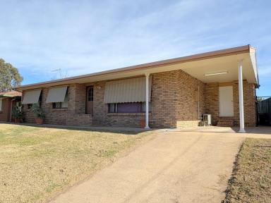House For Sale - NSW - Moree - 2400 - NORTH MOREE WITH A POOL  (Image 2)
