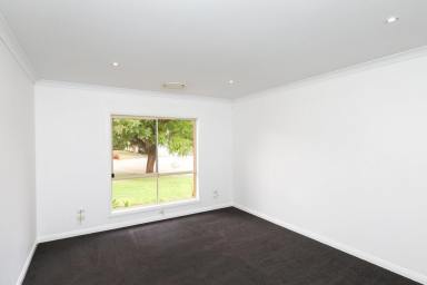 House For Sale - VIC - Irymple - 3498 - JUST UNDER 1/2 AN ACRE IN HEART OF IRYMPLE  (Image 2)