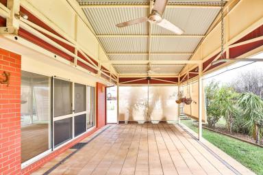 House For Sale - VIC - Irymple - 3498 - JUST UNDER 1/2 AN ACRE IN HEART OF IRYMPLE  (Image 2)