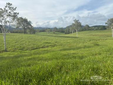 Livestock Sold - QLD - Julatten - 4871 - GRAZING & LIFESTYLE PARCEL IN JULATTEN  (Image 2)