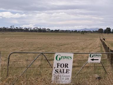 Mixed Farming For Sale - VIC - Warrayure - 3301 - Ideal outpaddock  (Image 2)