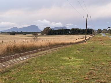 Mixed Farming For Sale - VIC - Warrayure - 3301 - Ideal outpaddock  (Image 2)