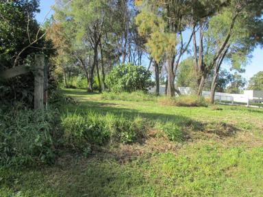 Residential Block For Sale - QLD - Macleay Island - 4184 - SO VERY CLOSE to EVERYTHING  (Image 2)