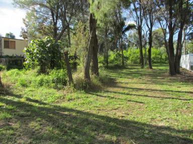 Residential Block For Sale - QLD - Macleay Island - 4184 - SO VERY CLOSE to EVERYTHING  (Image 2)
