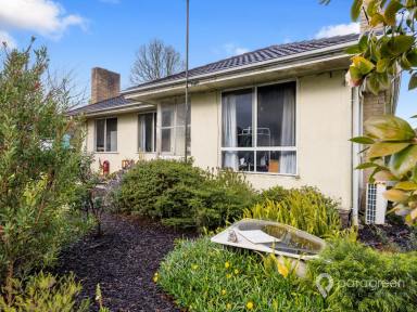 House For Sale - VIC - Foster - 3960 - GREAT 1ST HOME OR INVESTMENT OPPORTUNITY  (Image 2)