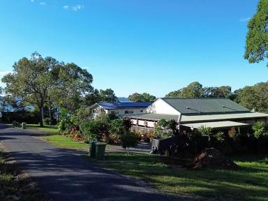 Residential Block For Sale - QLD - Macleay Island - 4184 - Prime Block of Land – Lifestyle Awaits at 32 Warama Street, Macleay Island  (Image 2)