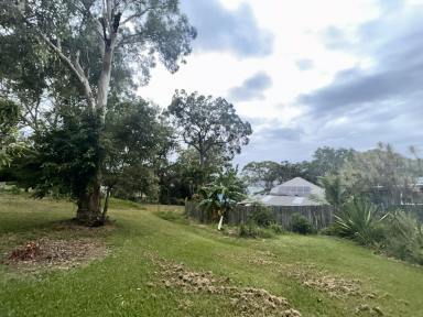 Residential Block For Sale - QLD - Macleay Island - 4184 - Elevated Block with Water Views  (Image 2)