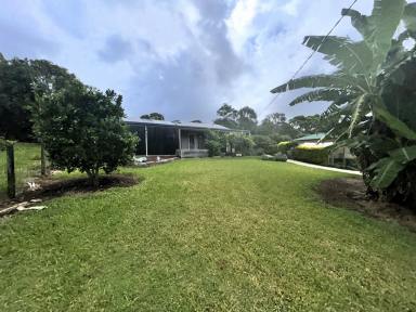 House For Sale - QLD - Macleay Island - 4184 - Motivated Seller!  (Image 2)