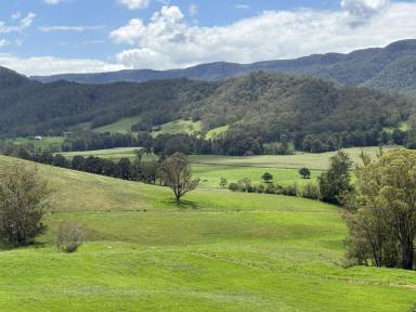 Lifestyle For Sale - NSW - Kangaroo Valley - 2577 - STUNNING 200 ACRES KANGAROO VALLEY With House  (Image 2)