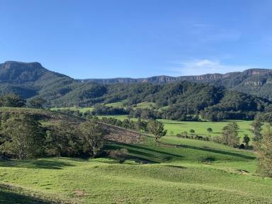 Lifestyle For Sale - NSW - Kangaroo Valley - 2577 - 200 ACRES KANGAROO VALLEY  (Image 2)