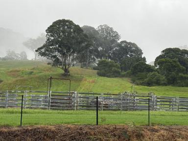 Lifestyle For Sale - NSW - Kangaroo Valley - 2577 - 100 ACRES Kangaroo valley NSW  (Image 2)