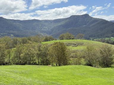 Lifestyle For Sale - NSW - Kangaroo Valley - 2577 - STUNNING 200 ACRES KANGAROO VALLEY With House  (Image 2)