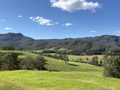 Lifestyle For Sale - NSW - Kangaroo Valley - 2577 - Large Land Holding Kangaroo valley 1.5 Hrs south of Sydney  (Image 2)