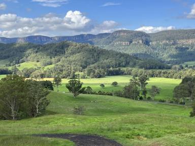 Lifestyle For Sale - NSW - Kangaroo Valley - 2577 - 200 ACRES KANGAROO VALLEY  (Image 2)