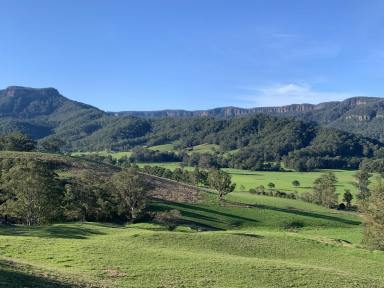 Lifestyle For Sale - NSW - Kangaroo Valley - 2577 - Large Land Holding Kangaroo valley 1.5 Hrs south of Sydney  (Image 2)
