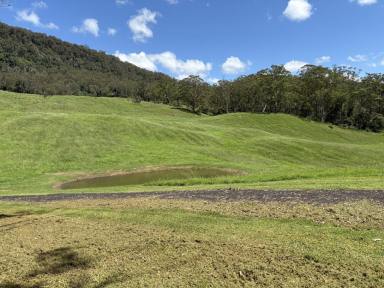 Lifestyle For Sale - NSW - Kangaroo Valley - 2577 - 100 ACRES Kangaroo Valley NSW  (Image 2)