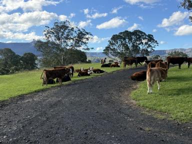 Lifestyle For Sale - NSW - Kangaroo Valley - 2577 - 100 ACRES Kangaroo valley NSW  (Image 2)