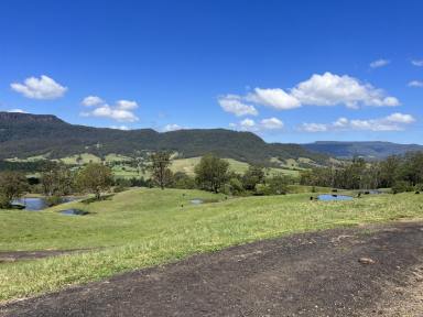Lifestyle For Sale - NSW - Kangaroo Valley - 2577 - 200 ACRES KANGAROO VALLEY  (Image 2)