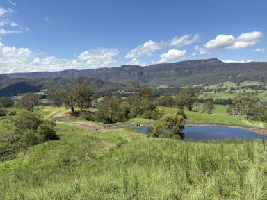 Lifestyle For Sale - NSW - Kangaroo Valley - 2577 - 200 ACRES KANGAROO VALLEY  (Image 2)