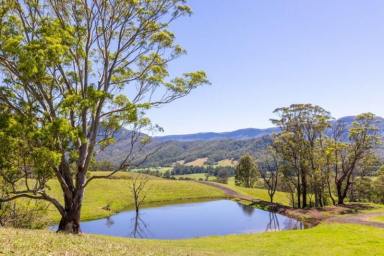 Lifestyle For Sale - NSW - Kangaroo Valley - 2577 - 200 ACRES KANGAROO VALLEY  (Image 2)