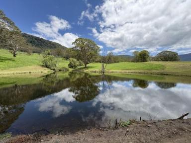 Lifestyle For Sale - NSW - Kangaroo Valley - 2577 - 200 ACRES KANGAROO VALLEY  (Image 2)