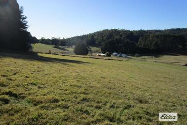 Lifestyle For Sale - TAS - Lower Wilmot - 7310 - LIFESTYLE OPPORTUNITY  (Image 2)