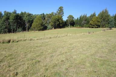 Lifestyle For Sale - TAS - Lower Wilmot - 7310 - LIFESTYLE OPPORTUNITY  (Image 2)