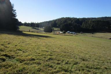 Lifestyle For Sale - TAS - Lower Wilmot - 7310 - LIFESTYLE OPPORTUNITY  (Image 2)